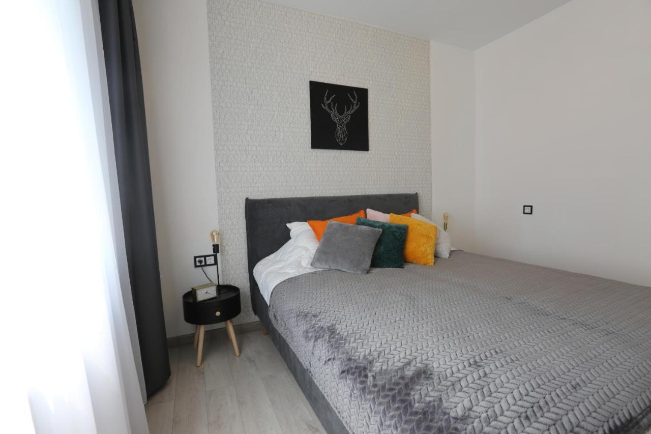 Comfy 2 Room Apartment - Free Parking - 350Mbps Wifi - Netflix Kaunas Dış mekan fotoğraf