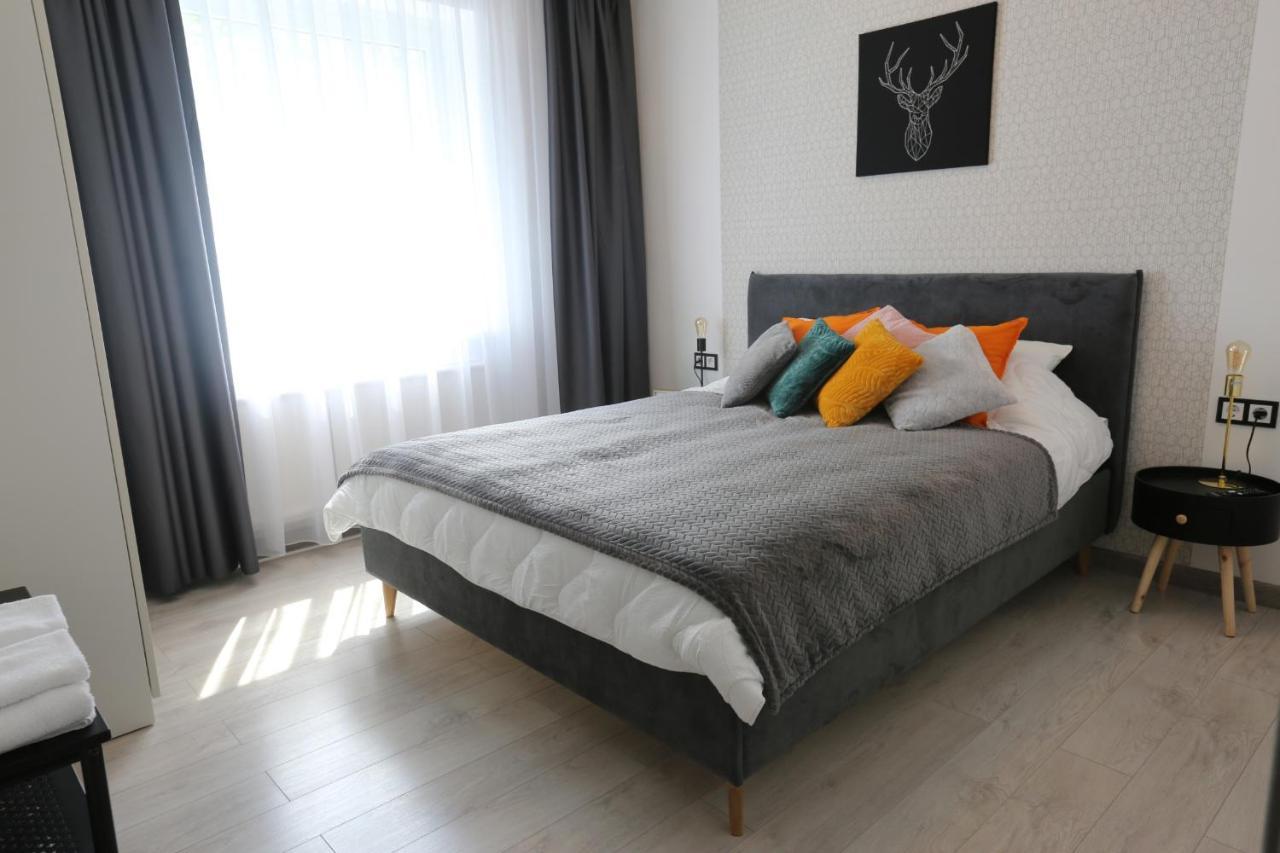 Comfy 2 Room Apartment - Free Parking - 350Mbps Wifi - Netflix Kaunas Dış mekan fotoğraf